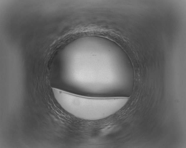 X0000054471493200507291033