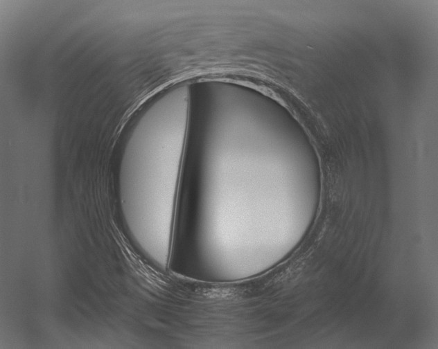 X0000054471497200507291034