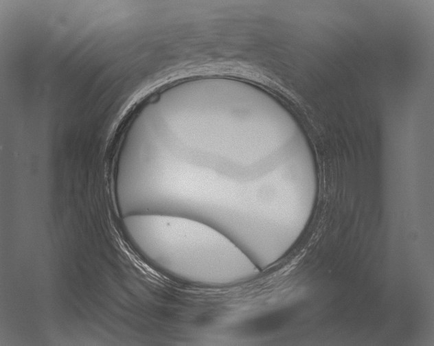 X0000054471498200507291034