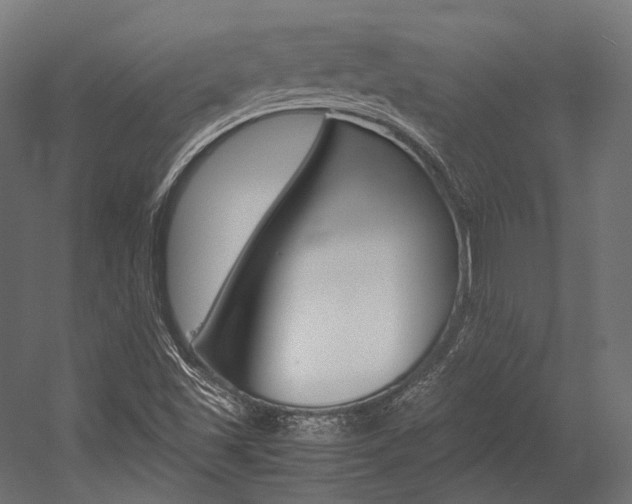 X0000054471501200507291034