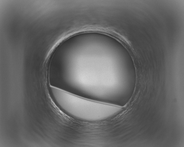 X0000054471504200507291034