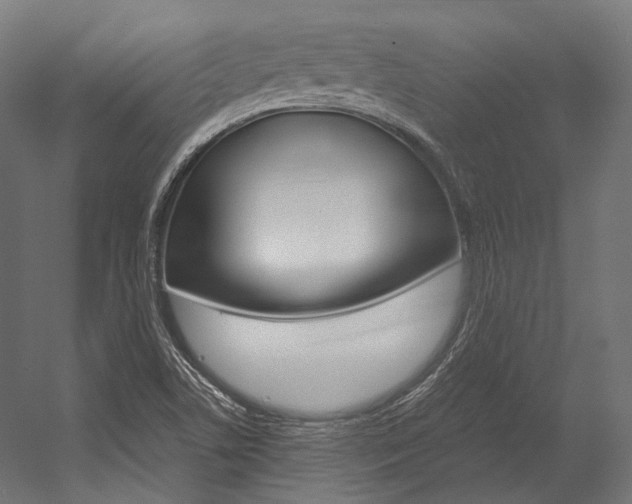 X0000054471506200507291034