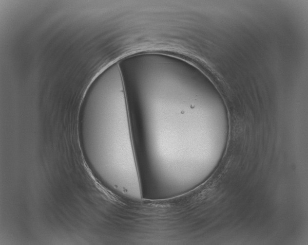 X0000054471513200507291034