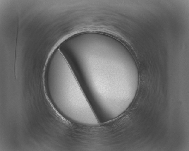 X0000054471517200507291034