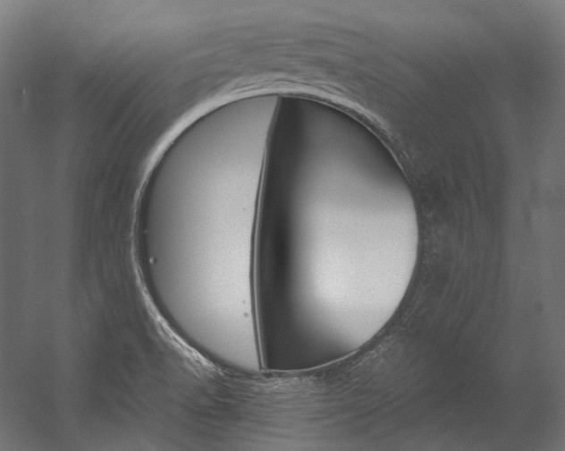 X0000054471518200507291034