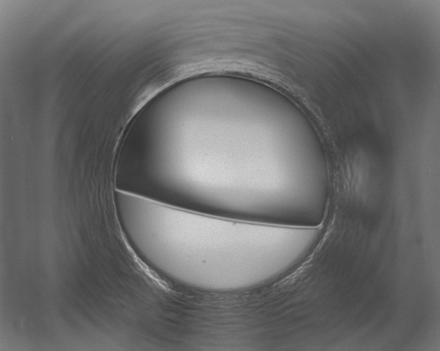 X0000054471521200507291034