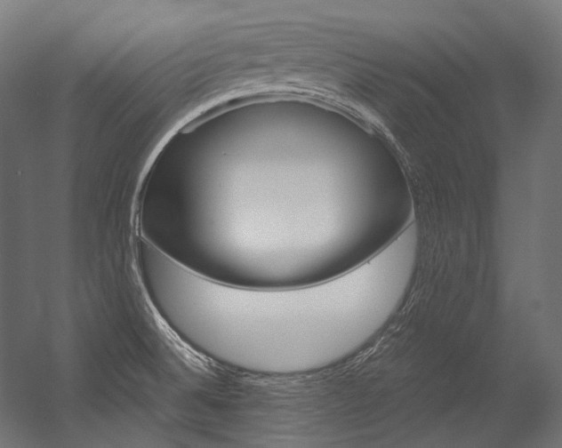 X0000054471524200507291034