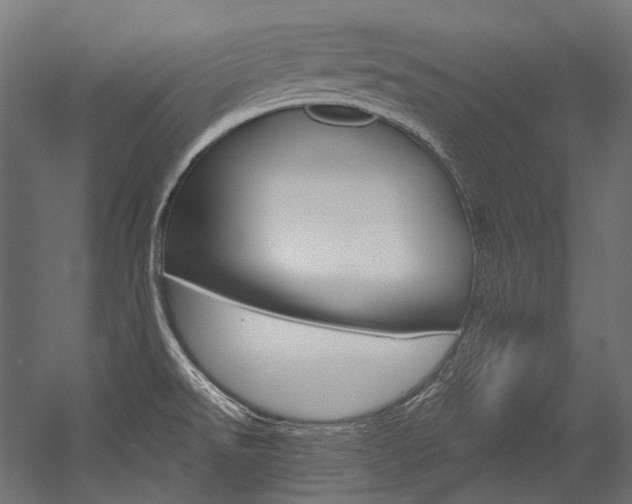 X0000054471526200507291034