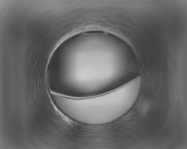 X0000054471527200507291034