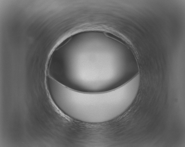 X0000054471528200507291034