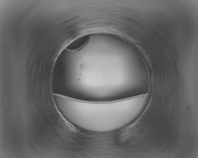 X0000054471529200507291034