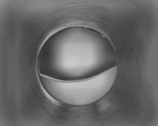 X0000054471531200507291034