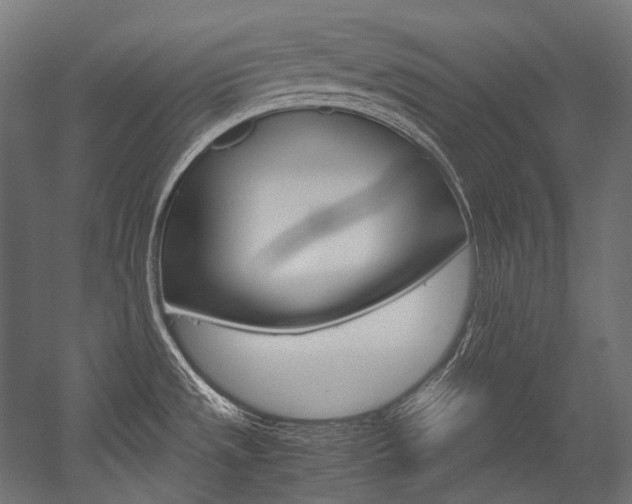 X0000054471533200507291034