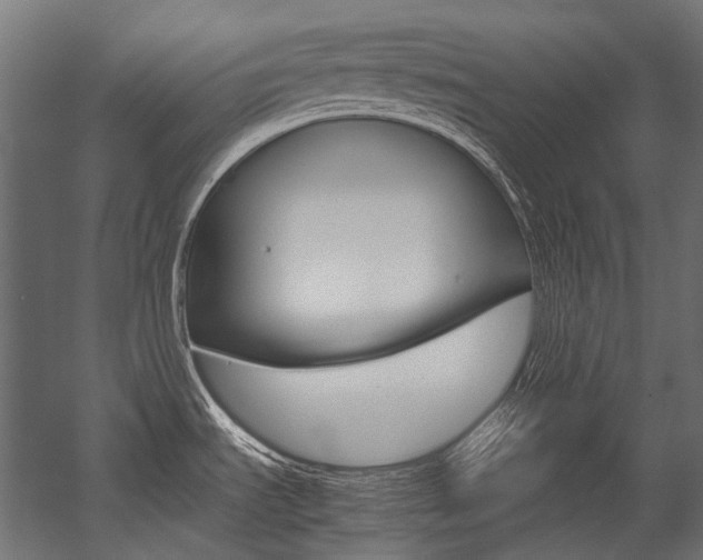 X0000054471535200507291034