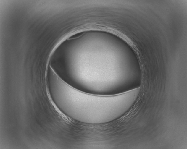 X0000054471536200507291034