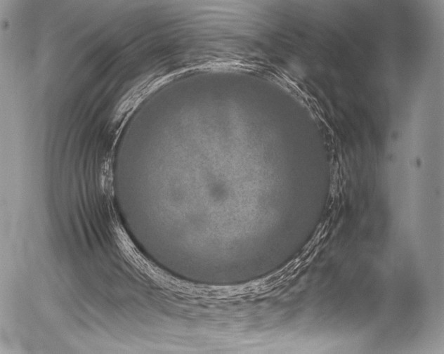 X0000054470002200507291359