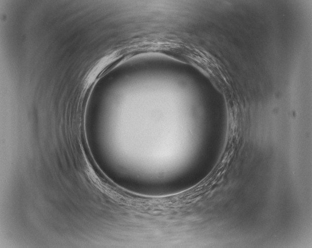 X0000054470003200507291359