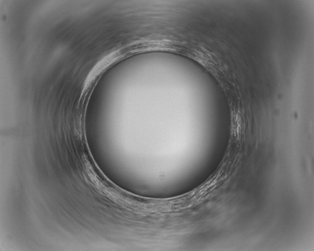X0000054470004200507291359