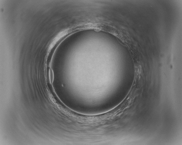 X0000054470006200507291359