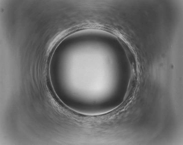 X0000054470007200507291359