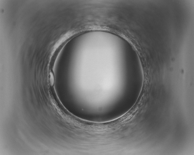 X0000054470008200507291359