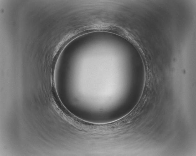 X0000054470011200507291359
