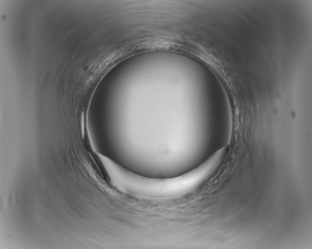 X0000054470013200507291359