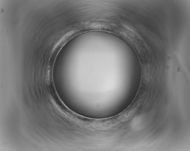 X0000054470016200507291359