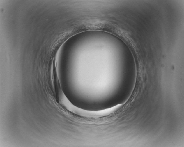X0000054470017200507291359