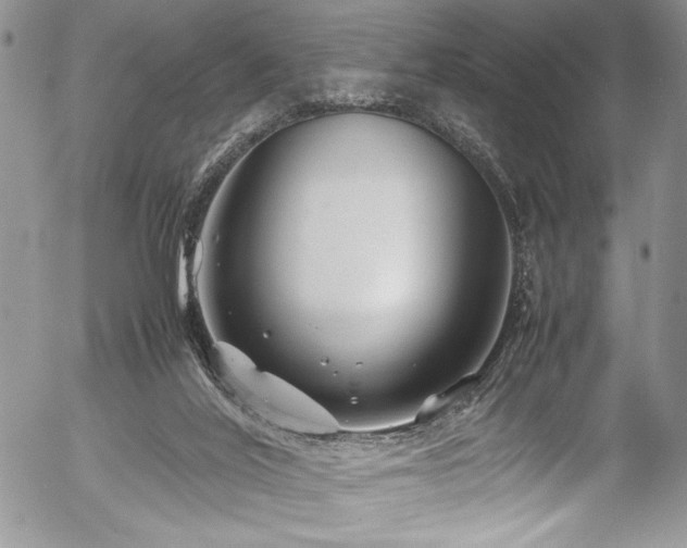 X0000054470020200507291359