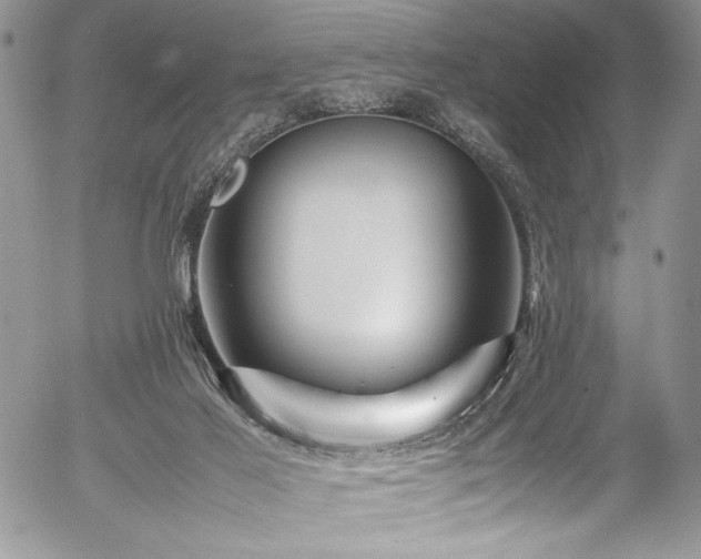 X0000054470021200507291359