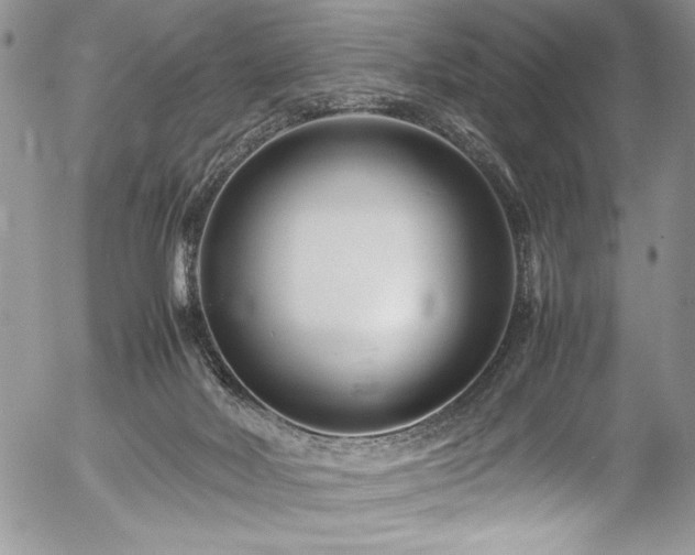 X0000054470026200507291358