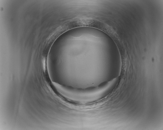 X0000054470027200507291358