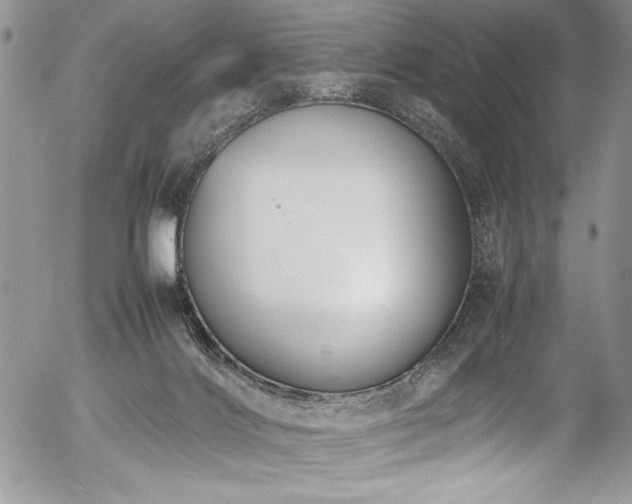 X0000054470028200507291358