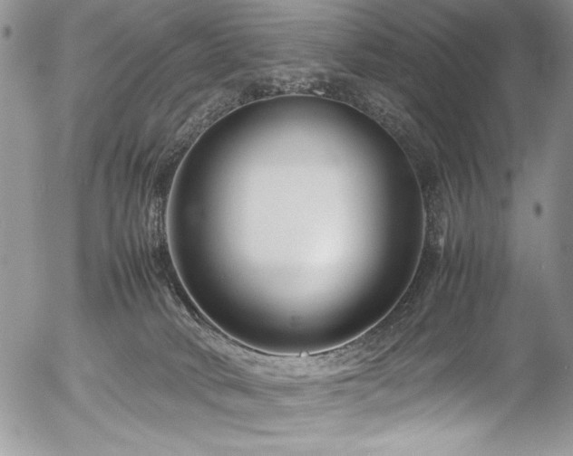 X0000054470034200507291358