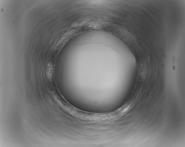 X0000054470036200507291358