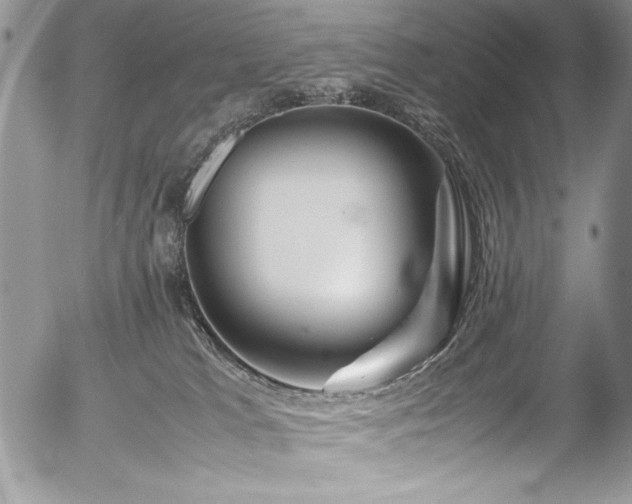 X0000054470037200507291358