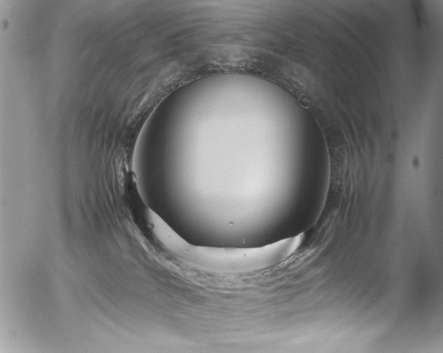 X0000054470040200507291358
