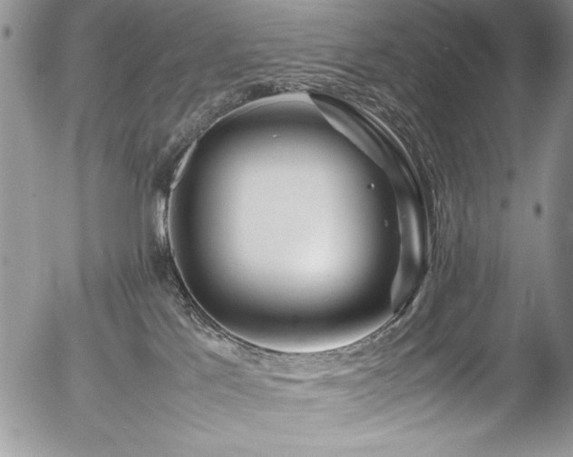 X0000054470041200507291358