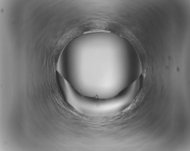 X0000054470045200507291358