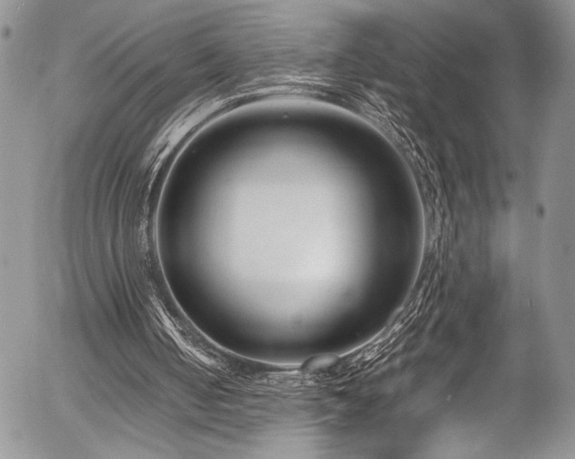 X0000054470050200507291357
