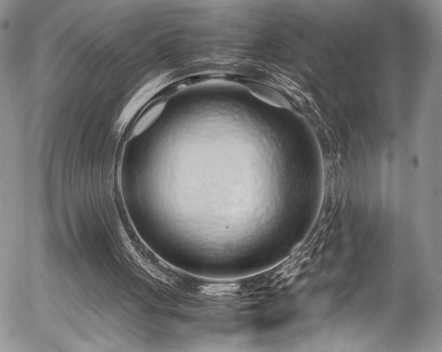 X0000054470051200507291357
