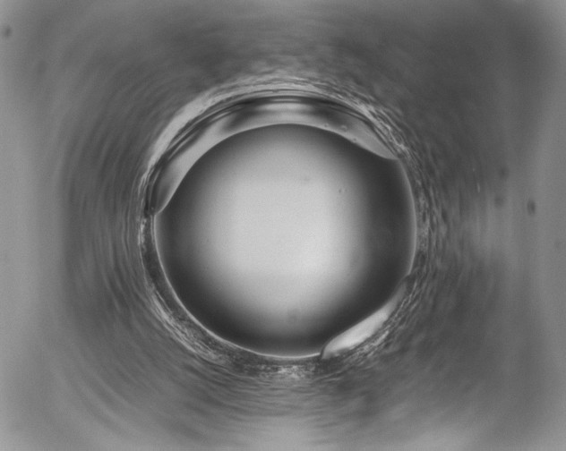 X0000054470056200507291357