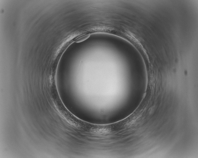 X0000054470063200507291358