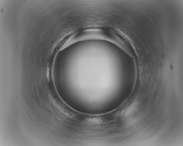 X0000054470067200507291358