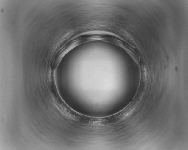 X0000054470072200507291358