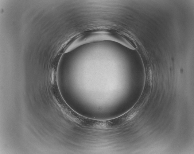 X0000054470076200507291358