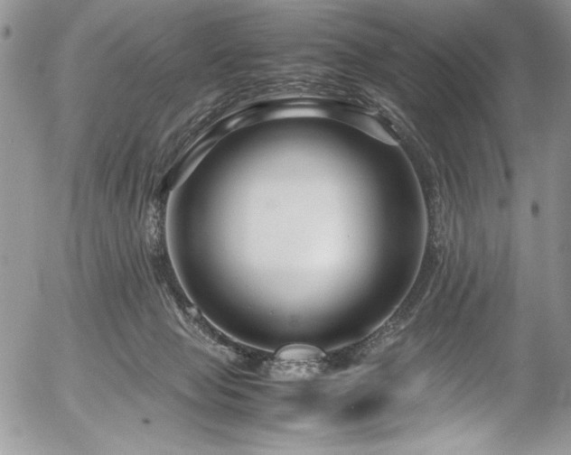 X0000054470077200507291358