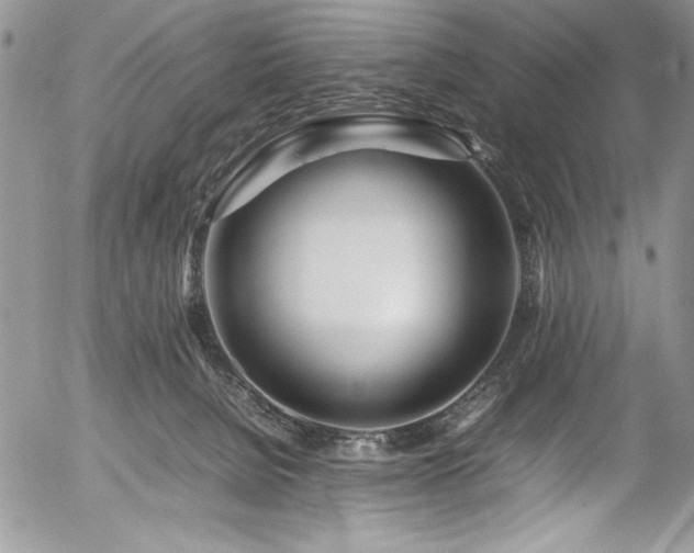 X0000054470080200507291358