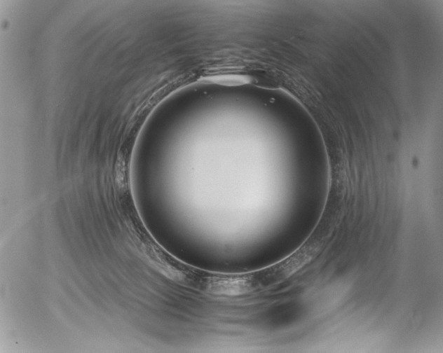 X0000054470081200507291358